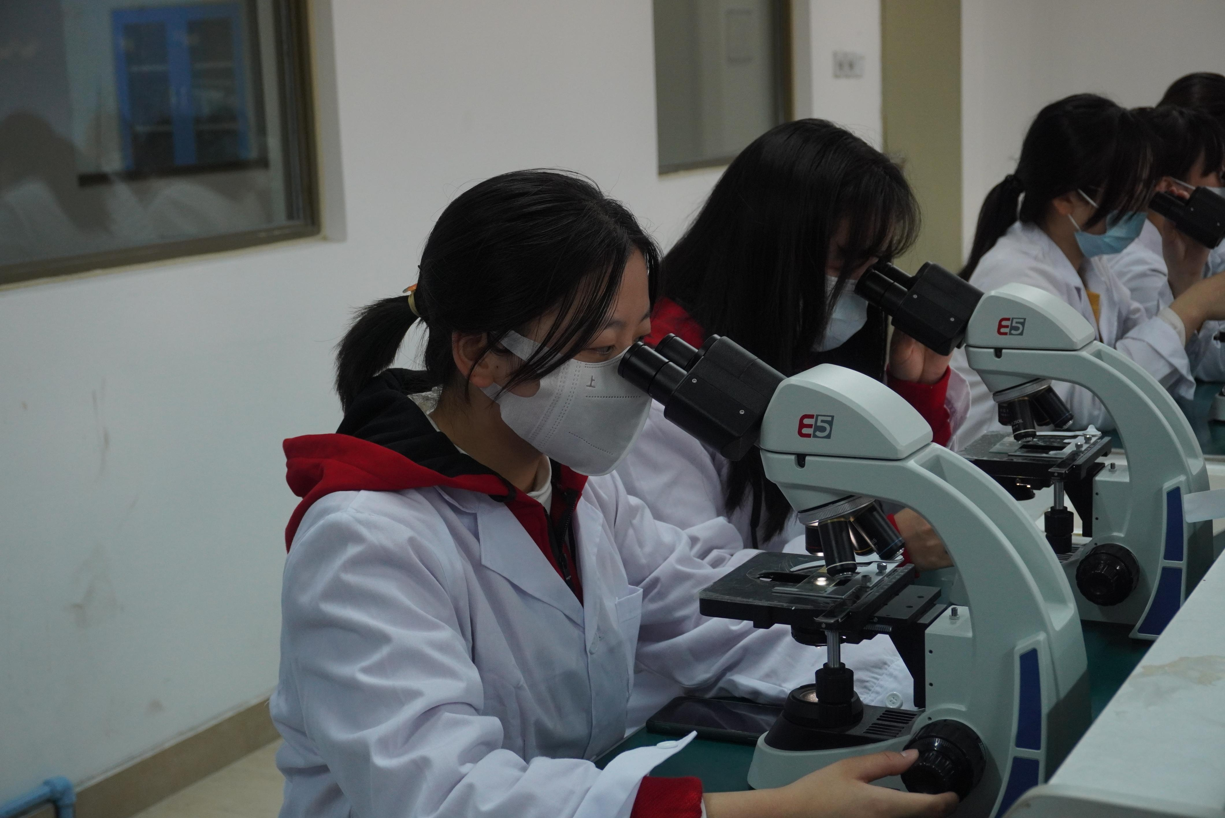 图片5.png 图片5.png