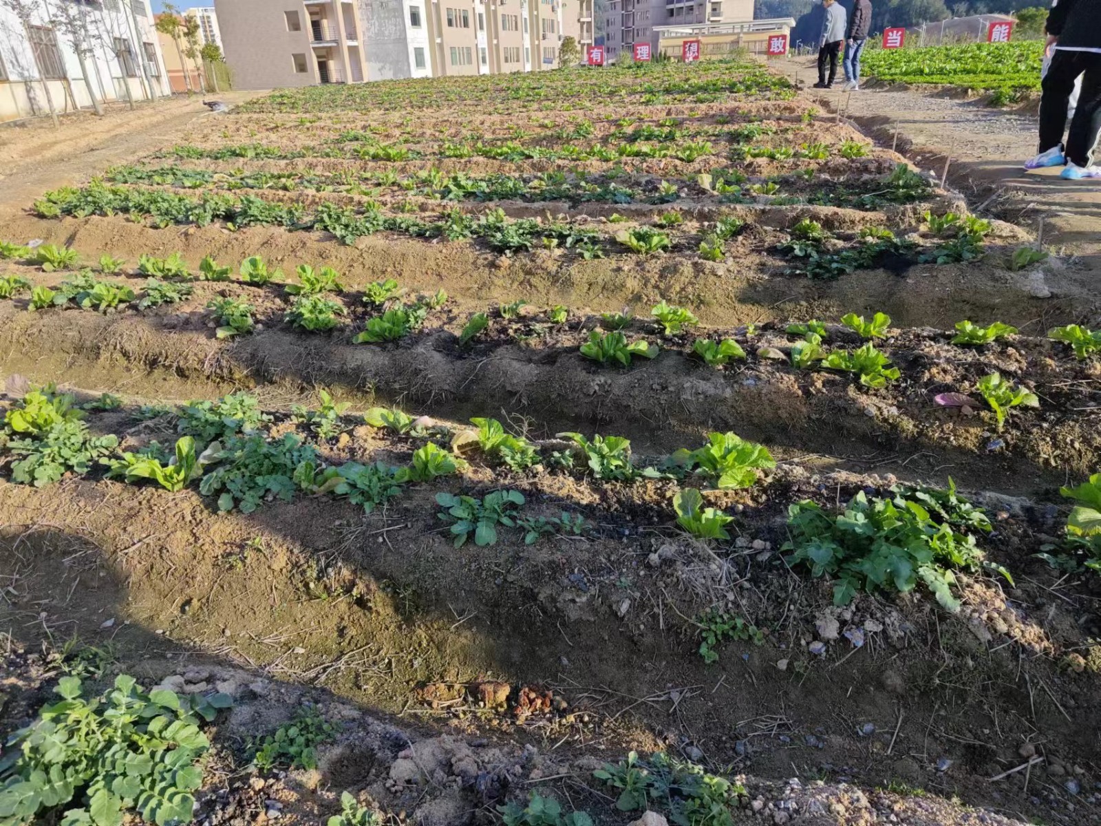 2455786e4b63d99e4a76830ddfd777b.jpg 2455786e4b63d99e4a76830ddfd777b.jpg