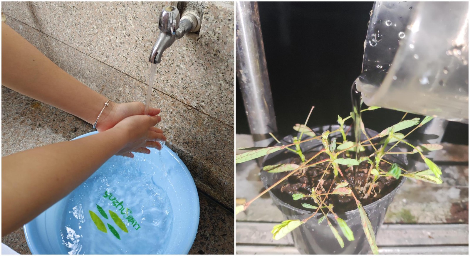 WPS拼图0.jpg WPS拼图0.jpg